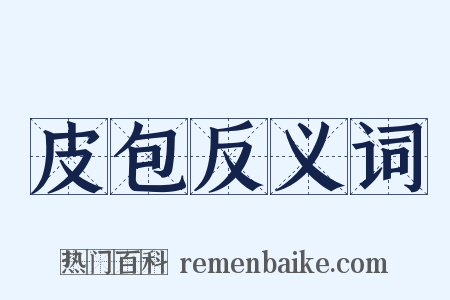 皮包反义词是什么意思的图片